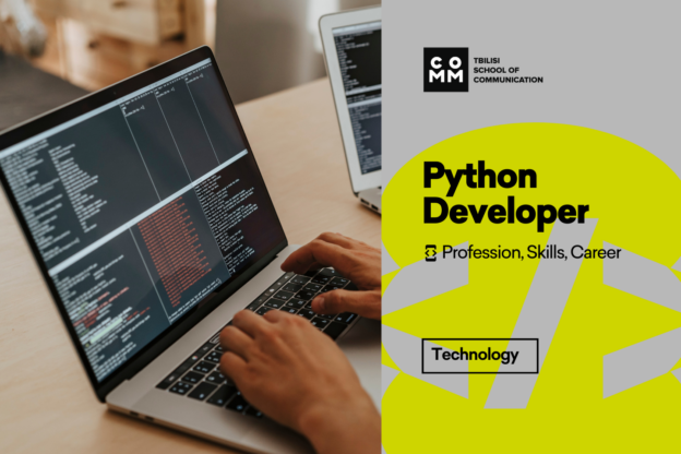 Python Developer: Profession, Skills, Career Path